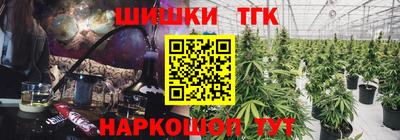 спиды Новодвинск