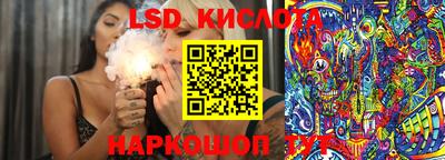 спиды Новодвинск