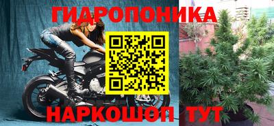 ешки Новокубанск
